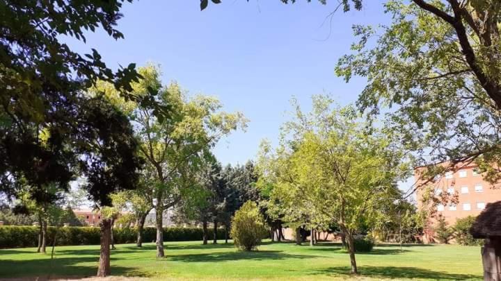 Residencia Diego Martinez Palencia Zewnętrze zdjęcie